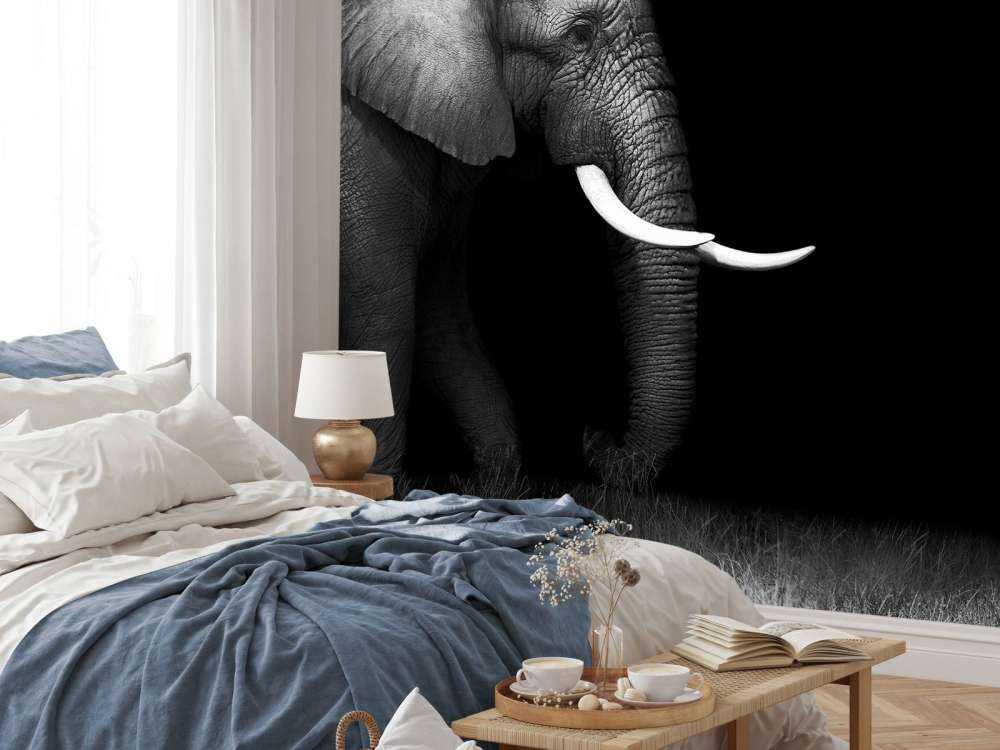 Elefant auf Gras