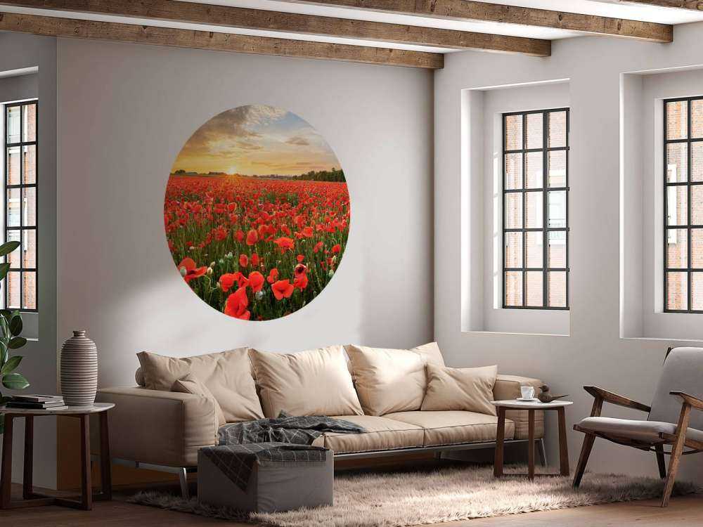 Sonnenuntergang mit Mohnblumen
