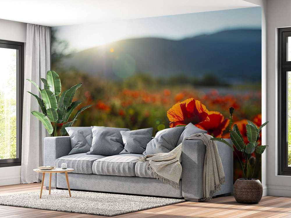 Mohnblumen mit Sonnenstrahlen