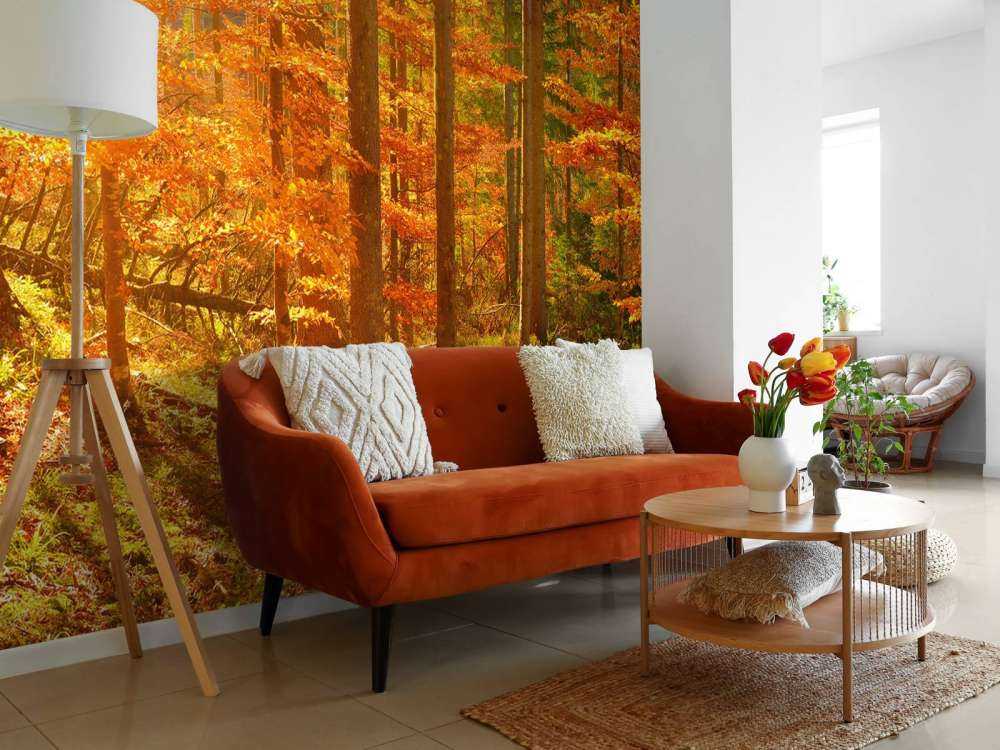Herbst Wald