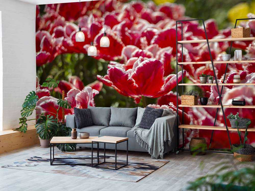 Rote Tulpen