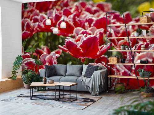 Rote Tulpen