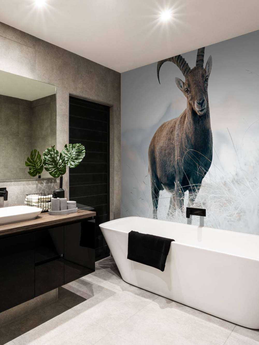 Alpensteinbock