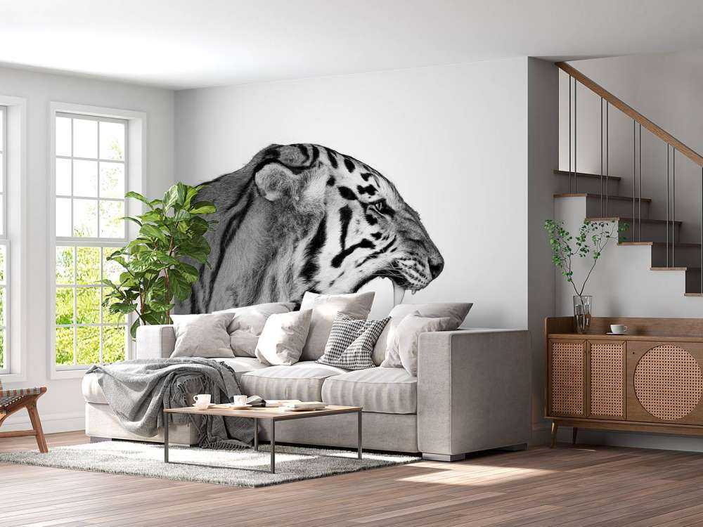 Brüllender Tiger weiß