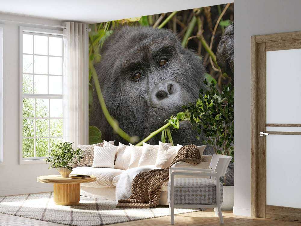Gorilla zwischen den Ästen