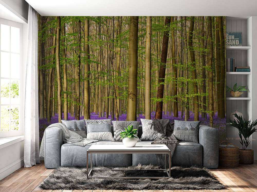 Wald mit Waldhyazinthen