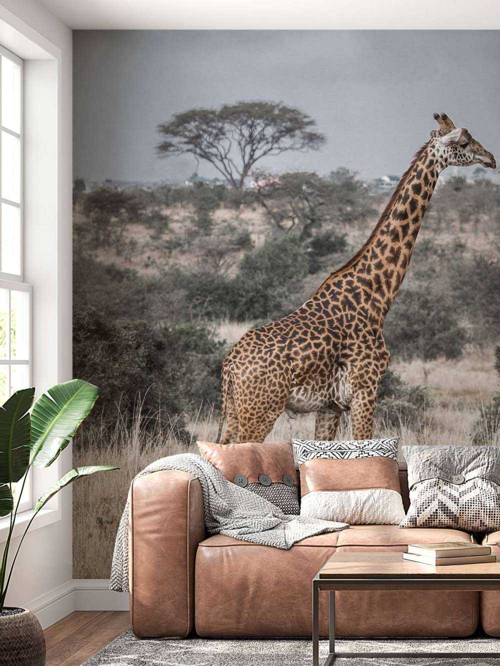 Giraffen-Portrait