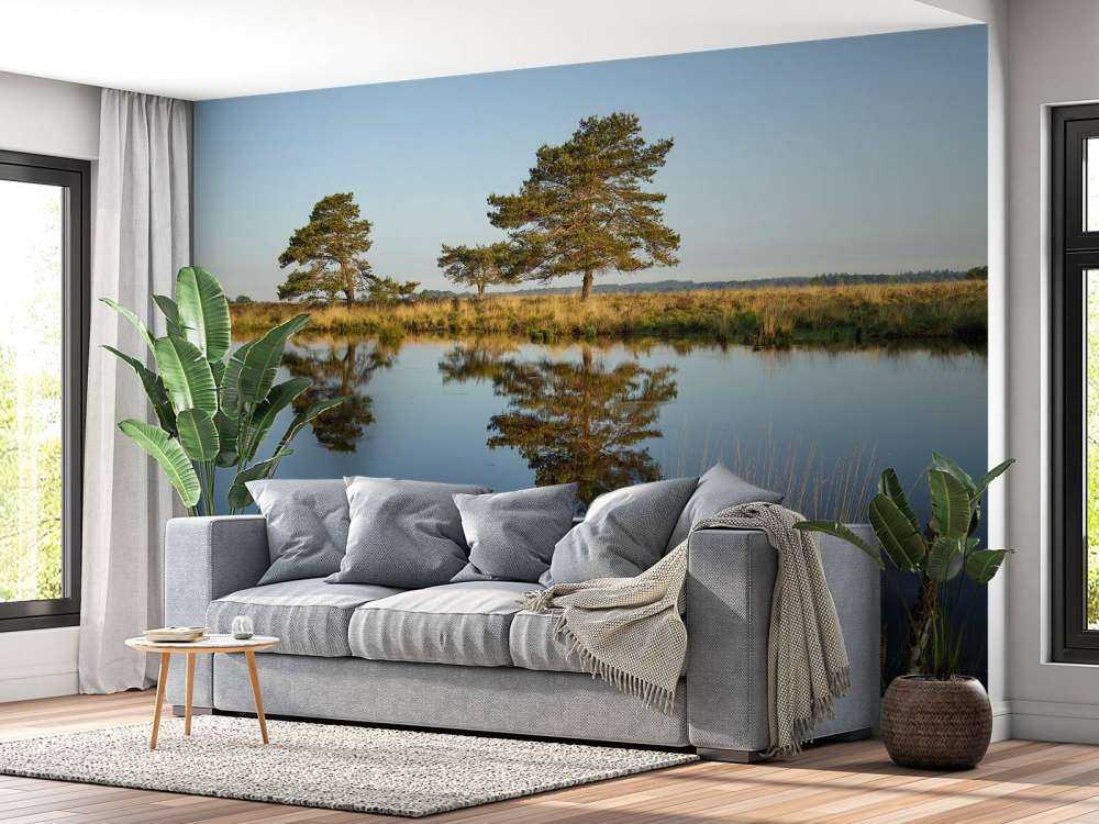 Waldland in der Heide