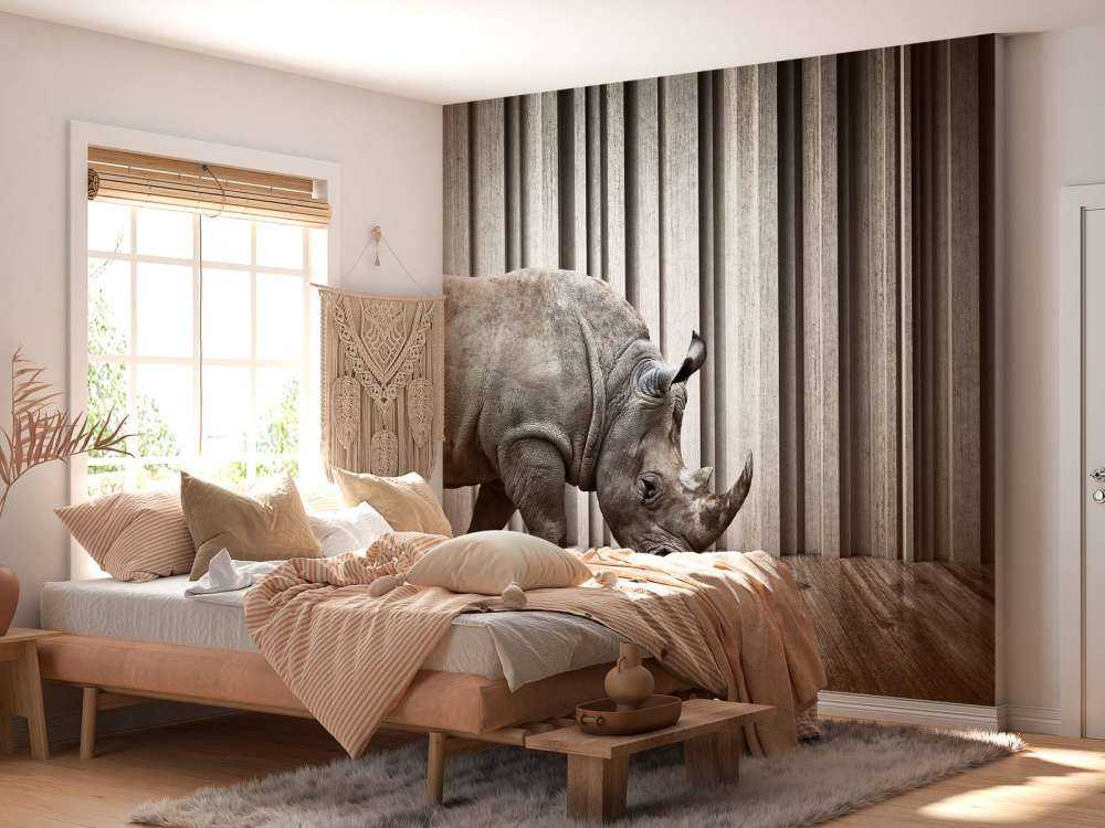 Rhinozeros im Saal