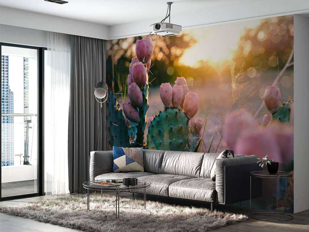 Kaktus mit Blüten