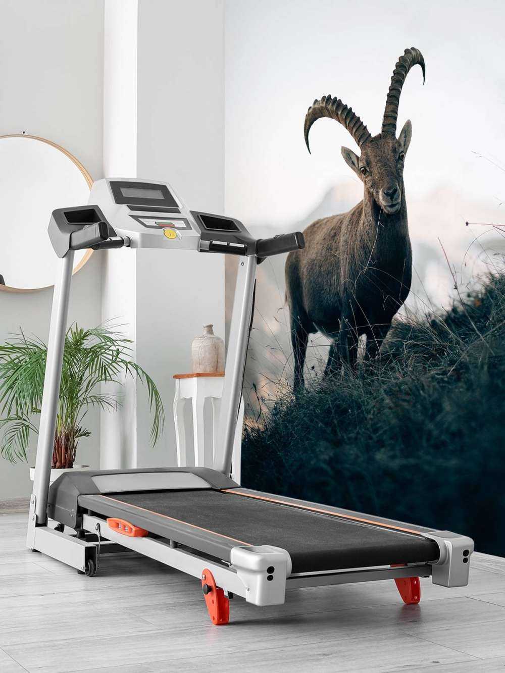 Steinbock in den Bergen