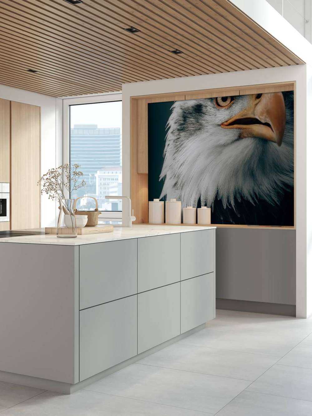 Schauender Seeadler