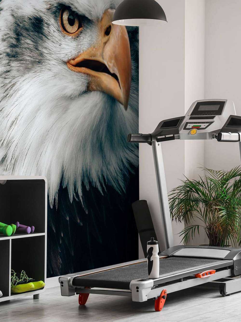 Schauender Seeadler