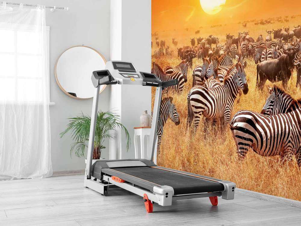 Savannensonne mit Zebras
