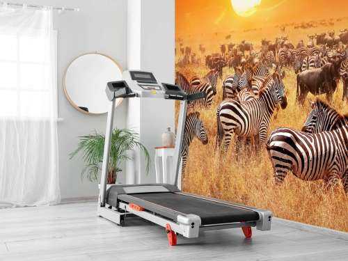 Savannensonne mit Zebras