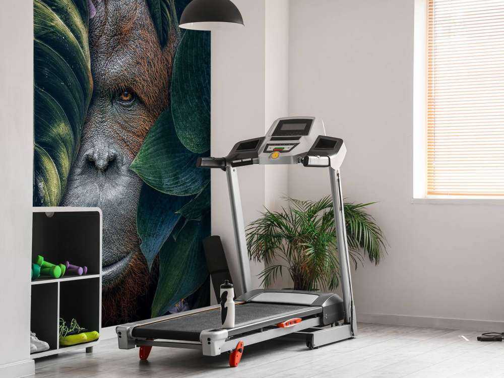 Jungle Orangutan