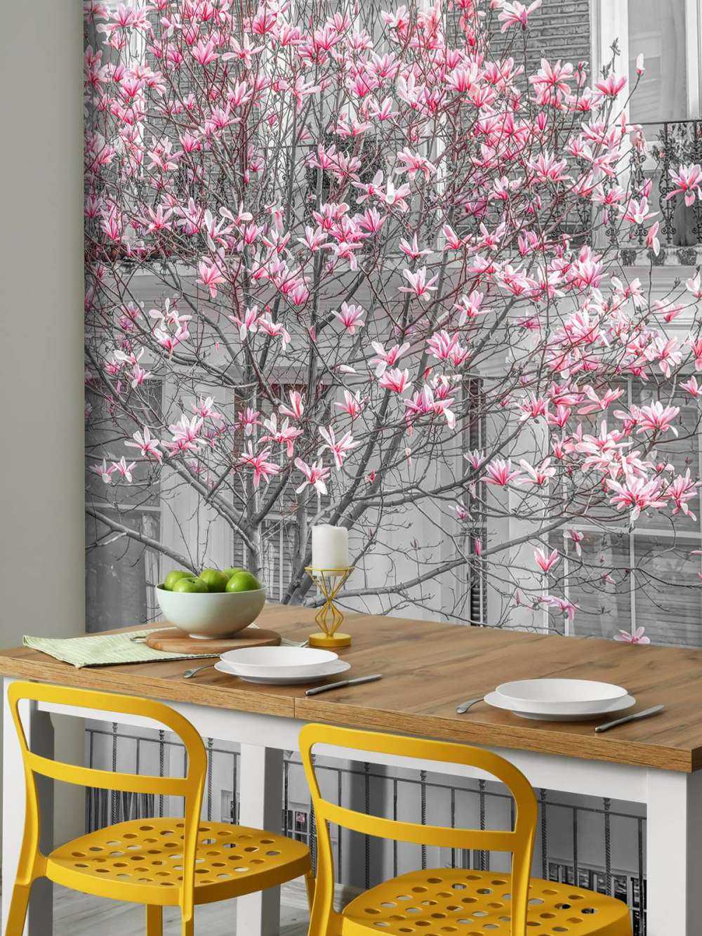 Blühender Magnolienbaum