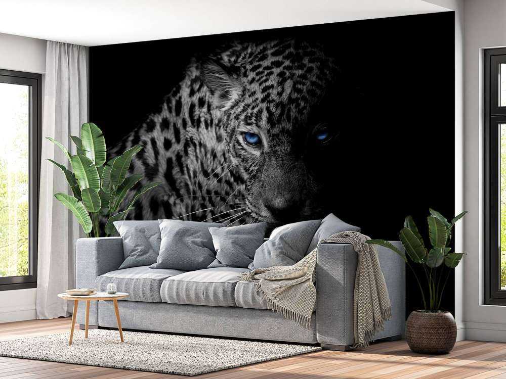Leopard auf schwarzem Hintergrund