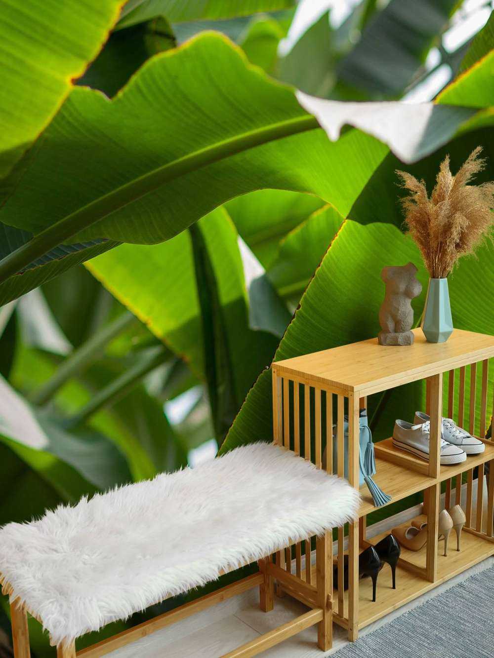 Palmblätter
