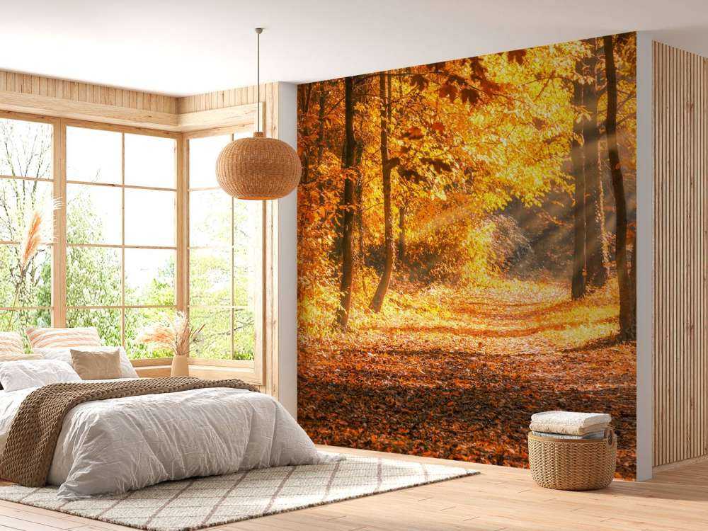 Panorama im Herbst