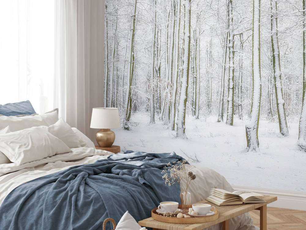 Wald mit Schnee