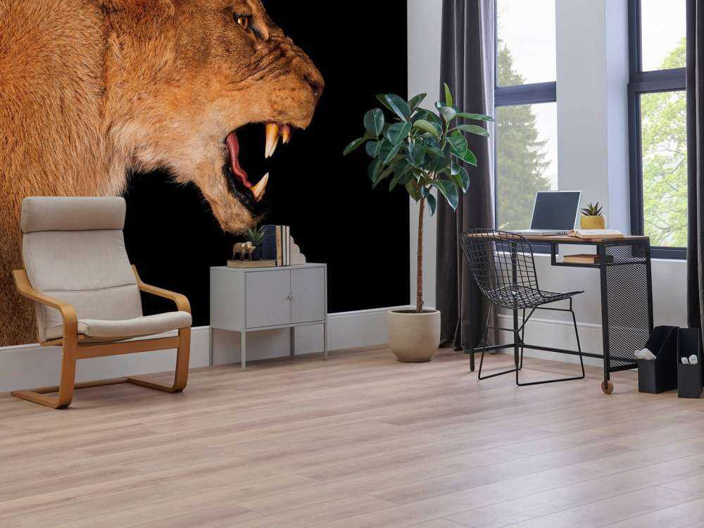 Löwin Seitenansicht
