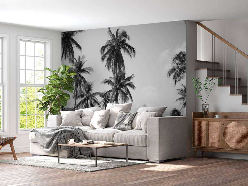 Palmen in Schwarz und Weiß