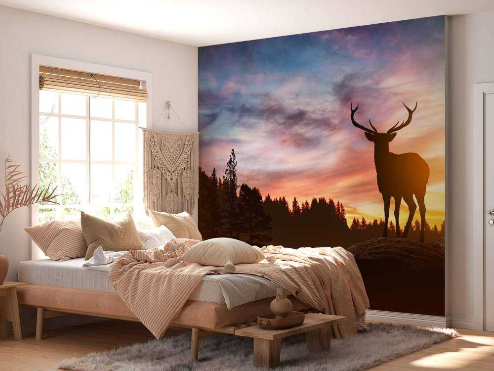 Hirsch mit Sonnenuntergang