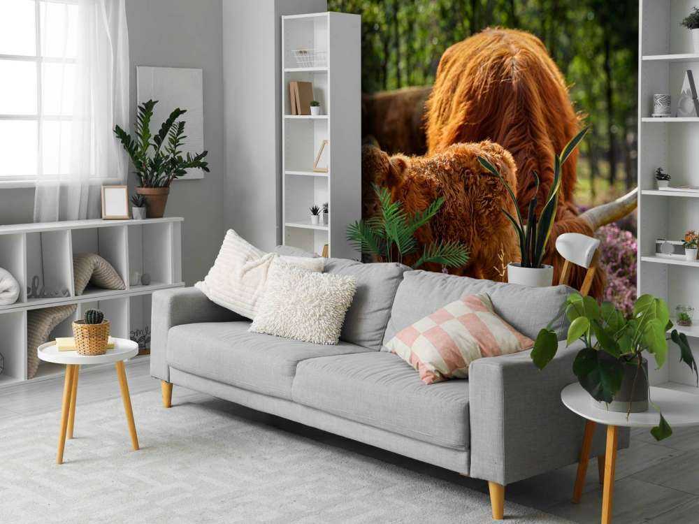 Familie Schottische Hochländer