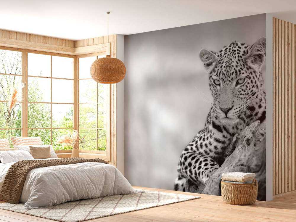Leopard schwarz, weiß
