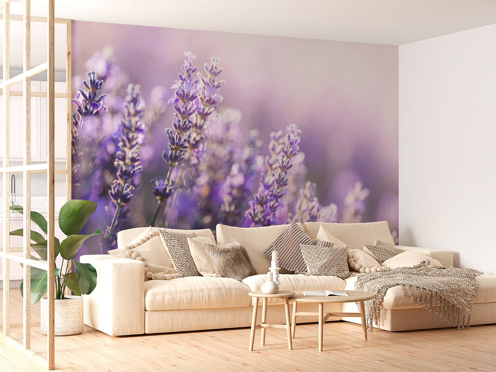 Verträumter Lavendel