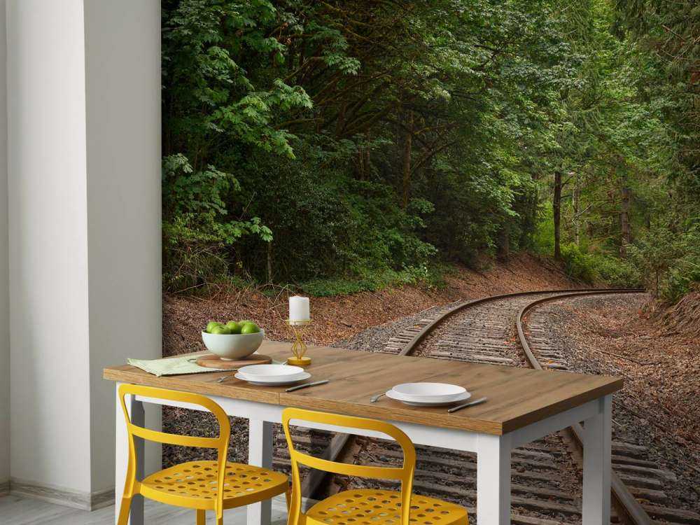Eisenbahnstrecke durch den Wald