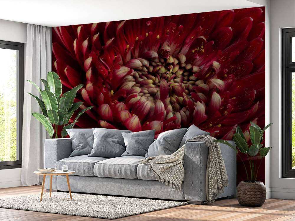 Rote Blume