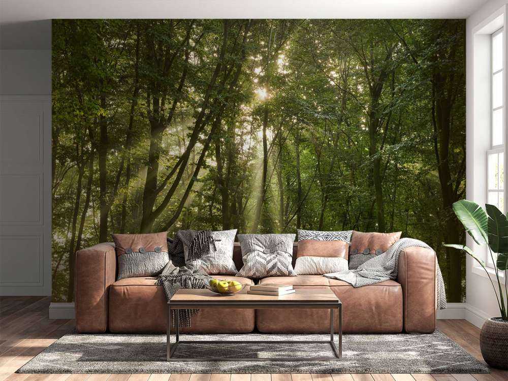 Sonnenschein im Wald