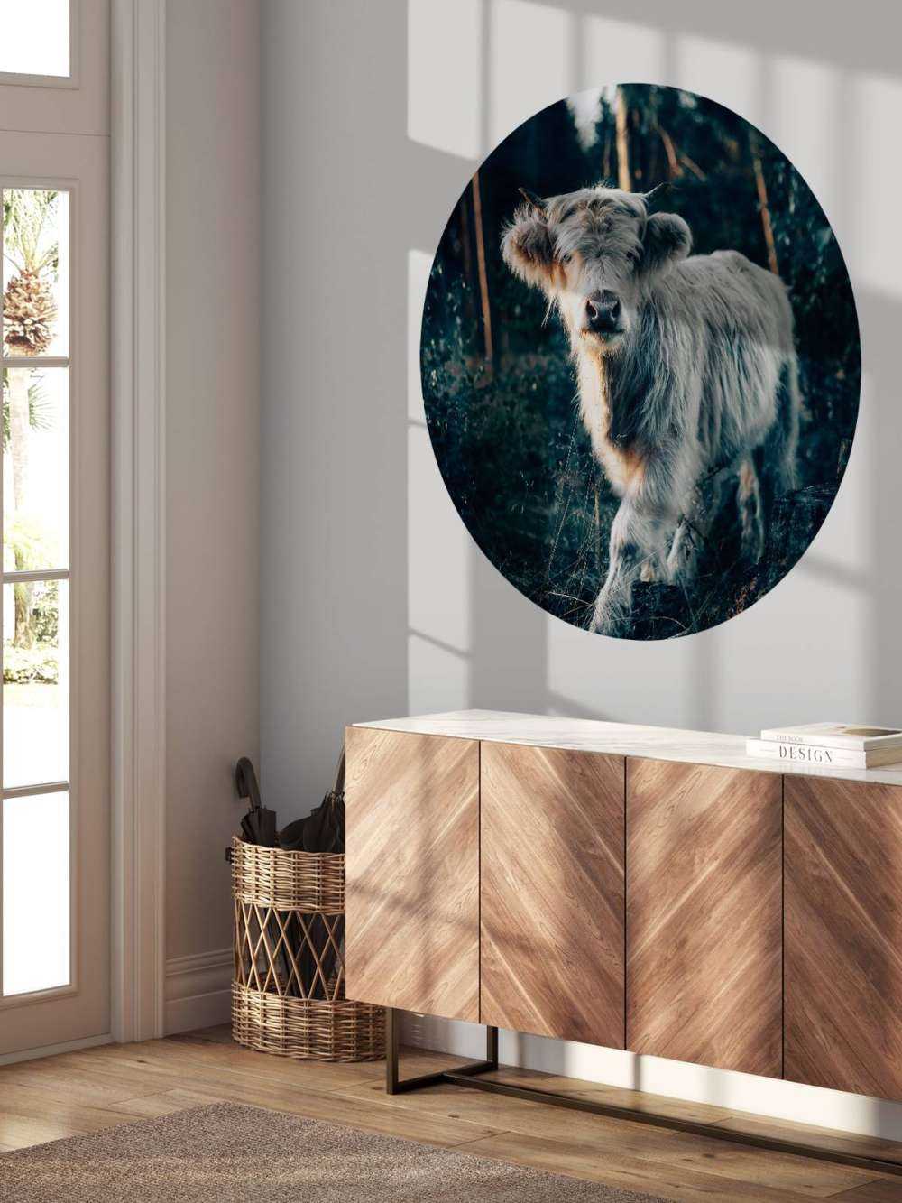 Schottischer Highlander-Welpe