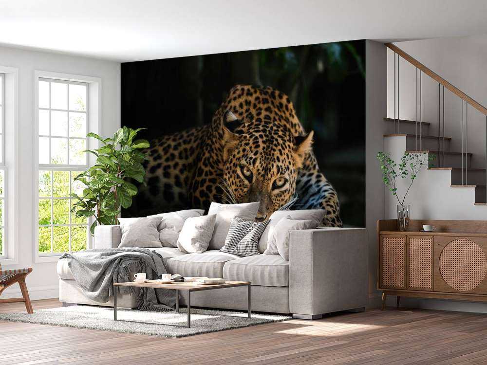 Panther im Wald
