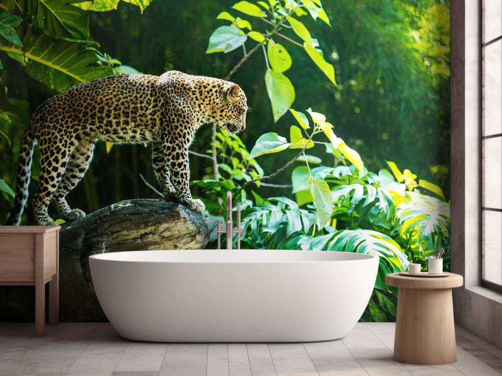 Leopard an einer Felswand