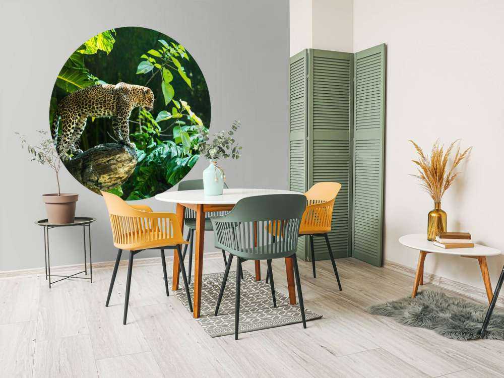 Leopard an einer Felswand