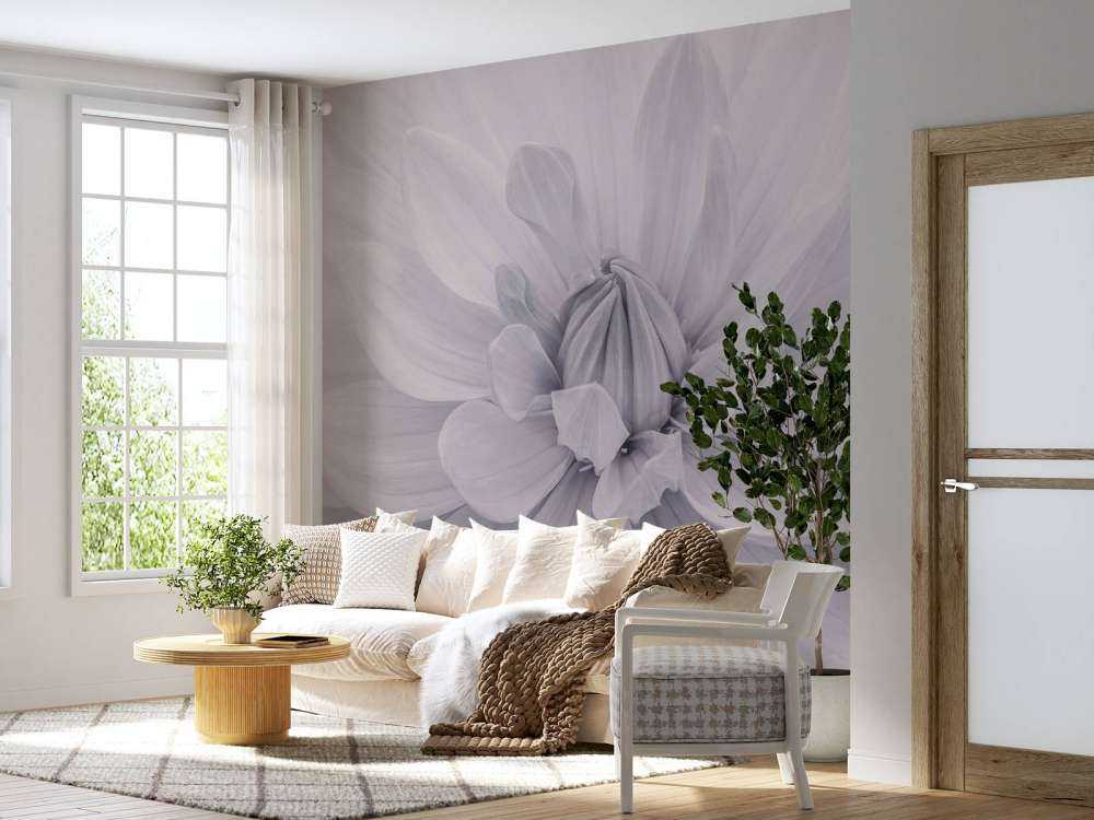 Weiße Dahlienblüte