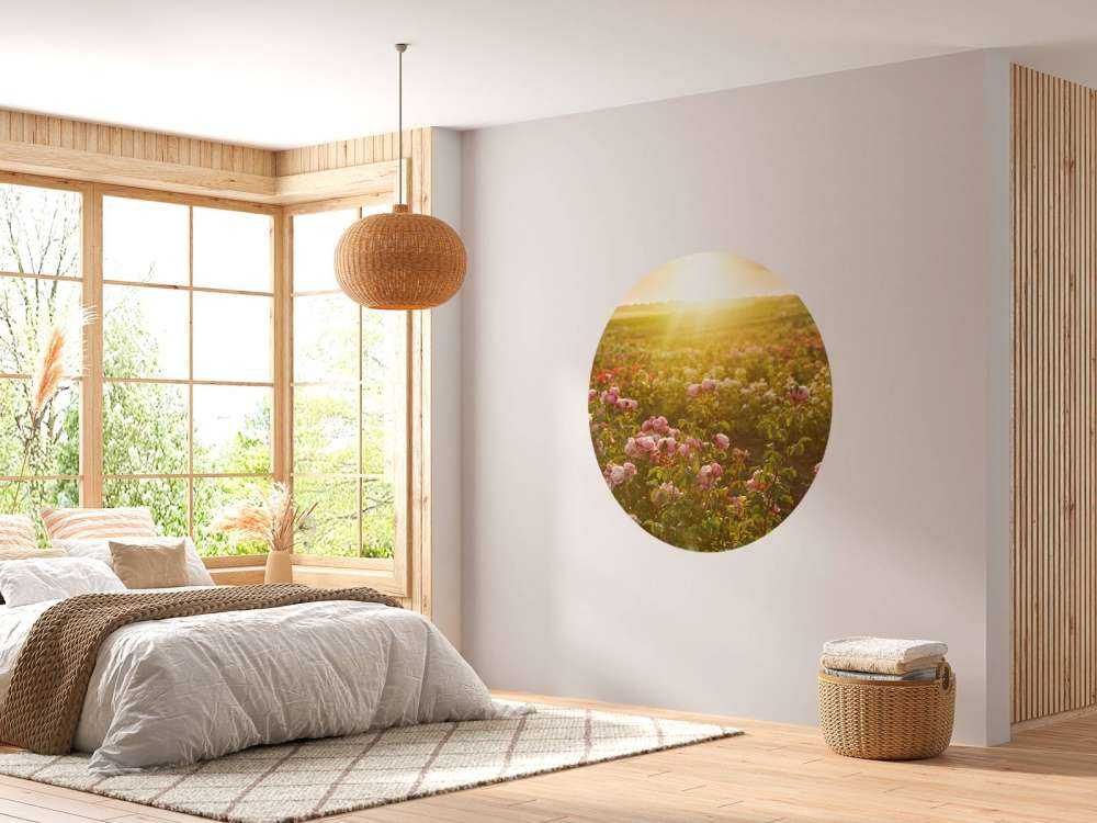 Feld voller Rosen