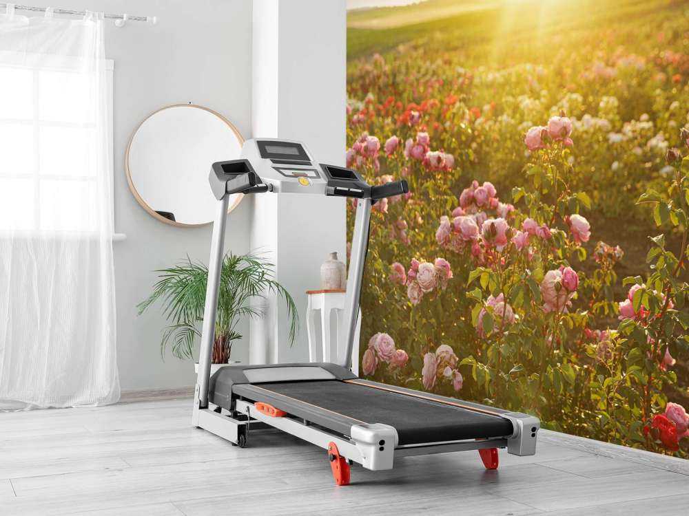 Feld voller Rosen