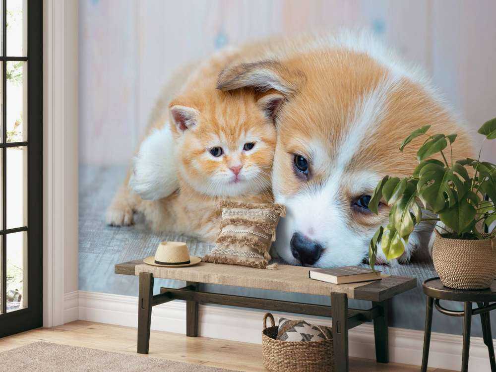 Katzentapete. Bild eines Kätzchens und eines Welpen.