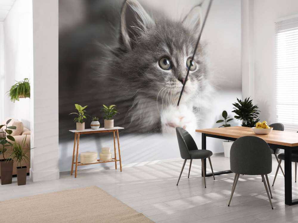 Spielende Katze