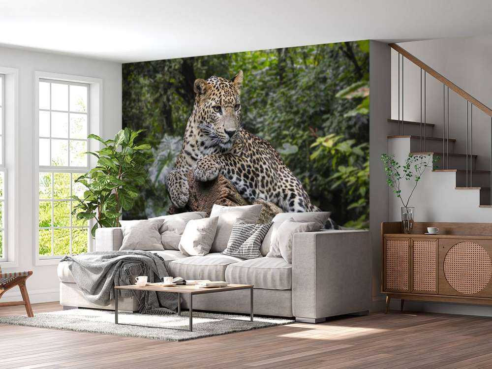 Leopard auf Baum