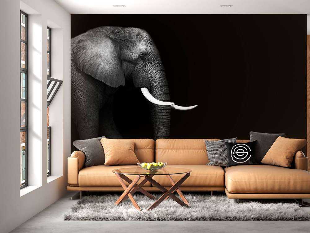 Elefant auf Gras