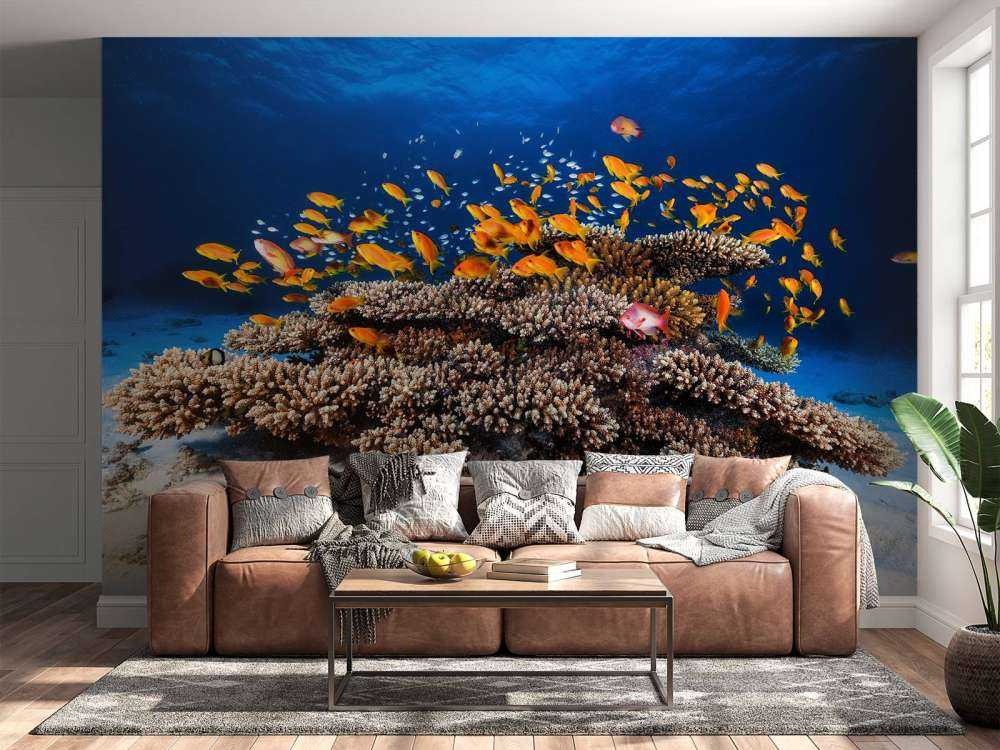 Marine Life