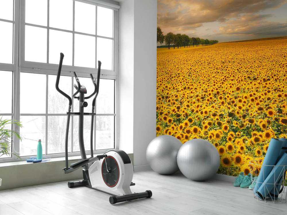 Sunflowers