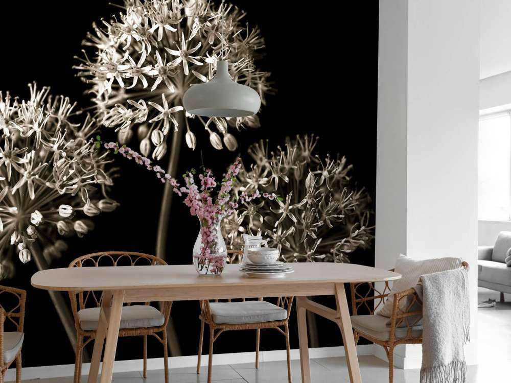 Drei Allium