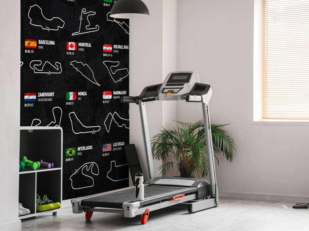 Formel 1 2023 - Datenkarte