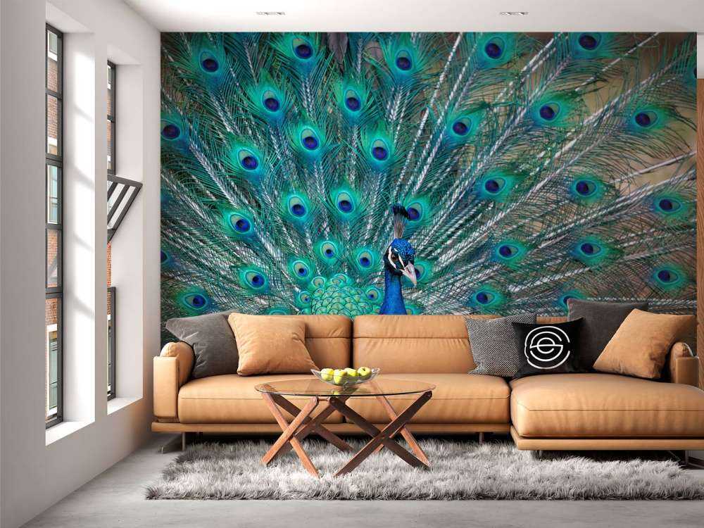 Blauer Pfau